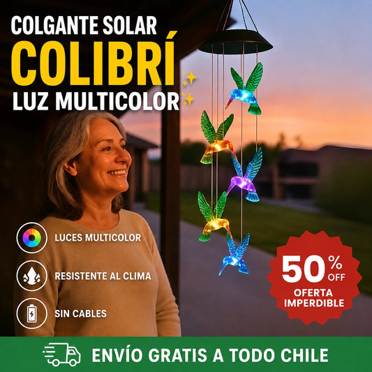 Colgante Solar Colibrí Luz Multicolor