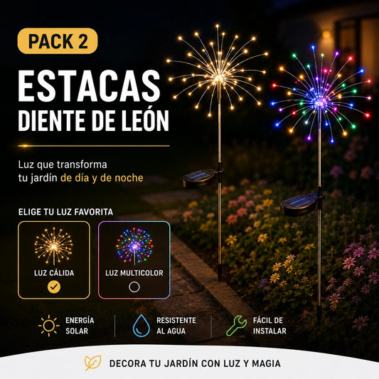 Pack 2 Estacas Solar Diente de León- Chascona