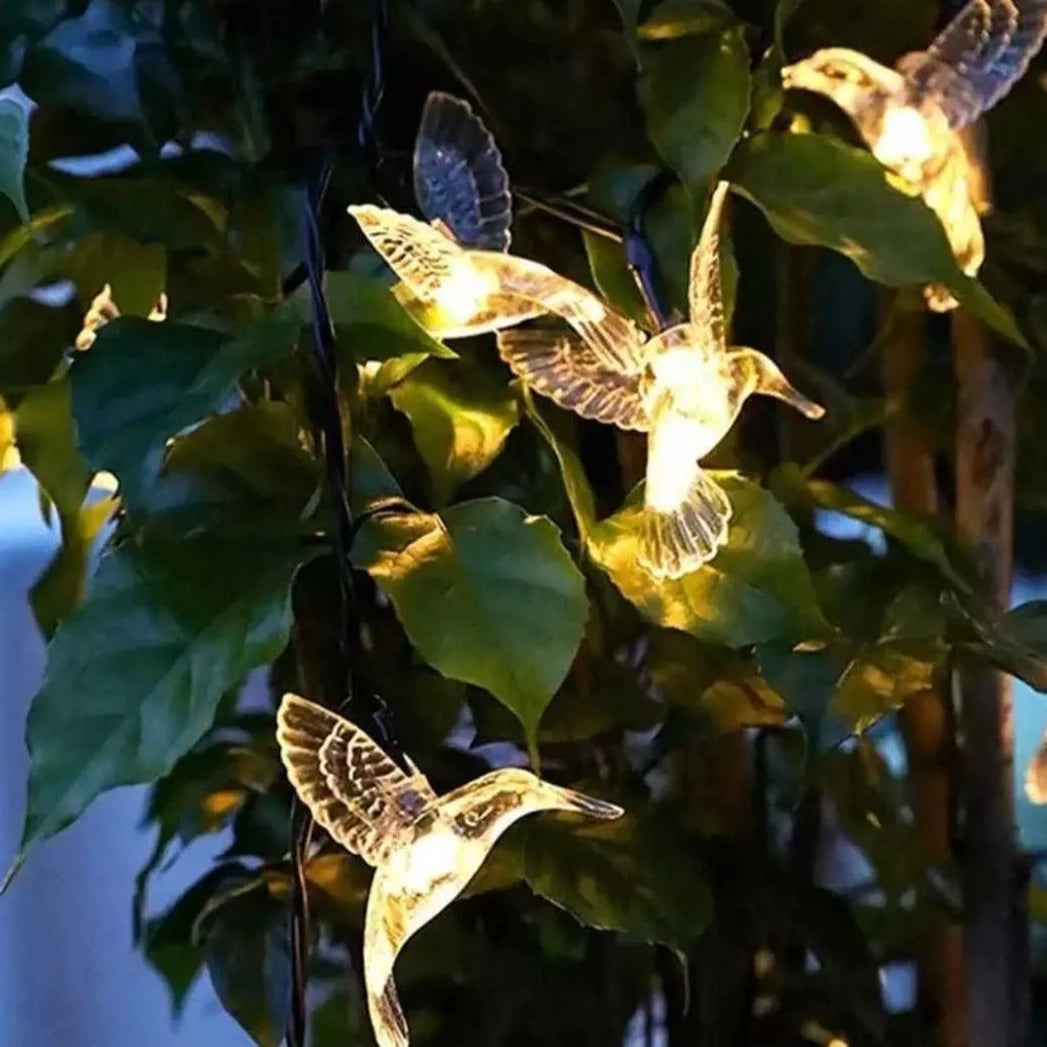 Guirnalda Solar de Luces Colibrí - Okeipo